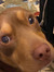 Darcy W...