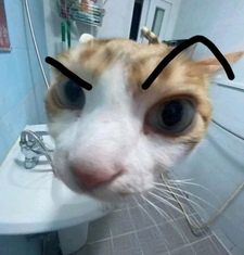 em