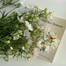 hal ♡ (taylor’s version)