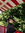 Lucia | 2 comments