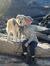 Teresa ...