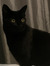 Jocelyn...