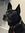 madison | 53 comments