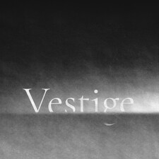 vestige_books Anonymous