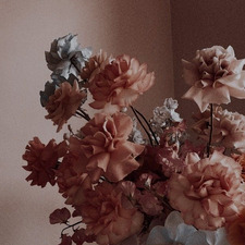 ₊˚⊹☆Abiii₊˚⊹☆