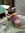 Madelyn
