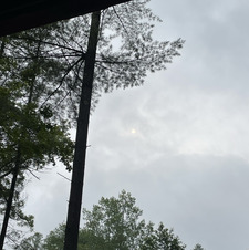 Brooke Shellenberger