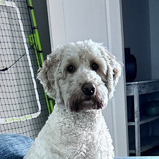 Corbin