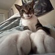 Macy