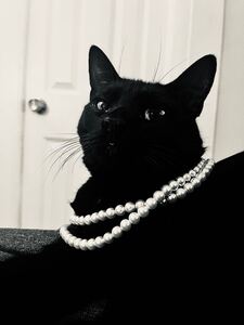 SOFIA ✨️✨️✨️