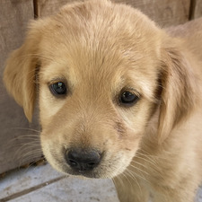 mar (taylor's version)