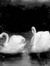 yve ⋆ ࣪ . ୨୧