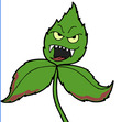 Ivy