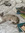member photo member photo