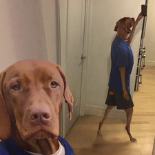 Munkey is a Super Reader