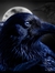 Raven