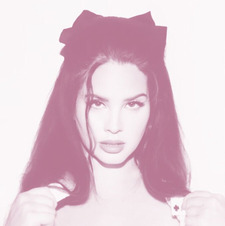 sandra xoxo