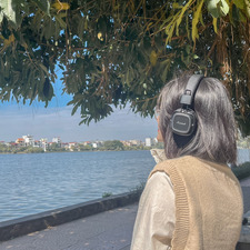 Mèo Đi Vớ