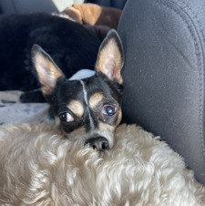 Nicholas O’Donnell