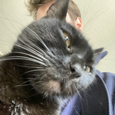 Sebastian