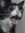 Izu_Nya