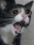Izu_Nya