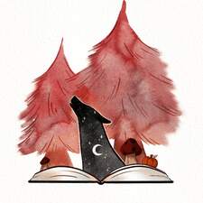 Lily - A pack of books