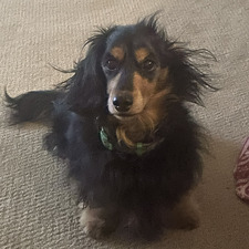 Kellie- SpicedTeaandChapters