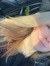 Devan