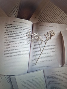 Year of books