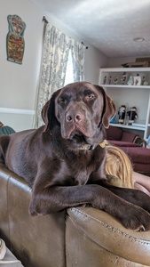 Mary McGeehan Beasley 