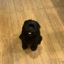 bridie&#x1faf6;&#x1f3fb;&#x1f48c;&#x1f4da;&#x1faa9;&#x1f3a7;