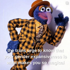 Jed Virago