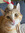 member photo member photo