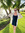 Emily W...