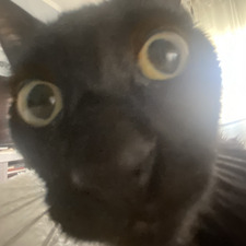Danny