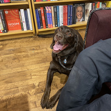 Amanda Bennett Smith