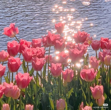 Thiare’s books ☾