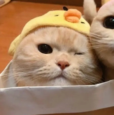 Simran Seepersad-Nayee