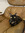 K | 1 comments