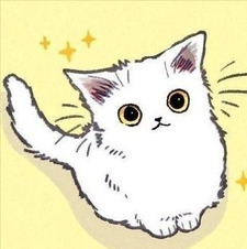 Kittykate