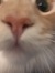 Marcy
