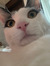 Zoey