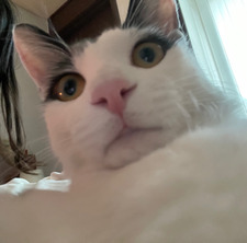 Zoey