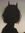 Missnoodleaddict
