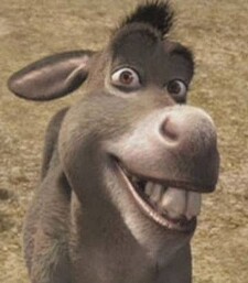 The_reading_goat