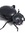 Beetle