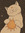 more ☾