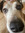 NikkiGnarley