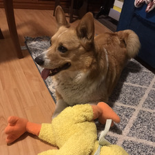 Mine